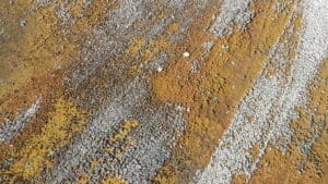 Foam Roof Insulation Application